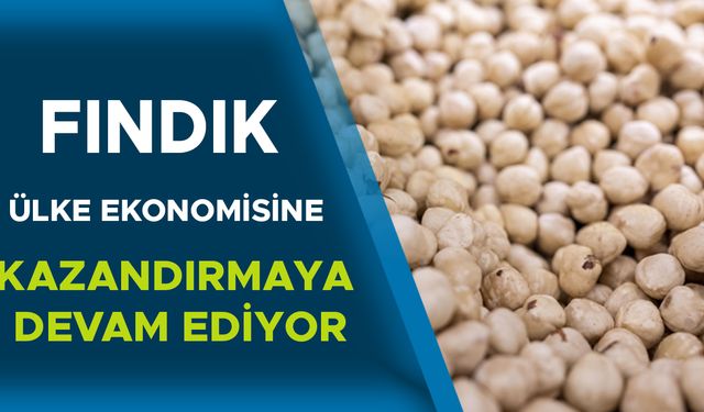 DÜZCE FINDIĞIN EN FAZLA İŞLEM GÖRDÜĞÜ İLLER ARASINDA YER ALDI