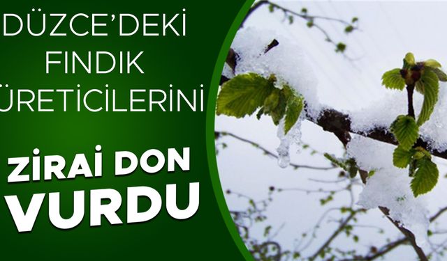 AKÇAKOCA ZİRAAT ODASI HASAR TESPİTİ İÇİN HAREKETE GEÇTİ