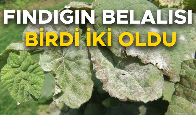KORKARCADAN SONRA BİR MÜCADELE ÇAĞRISI DAHA
