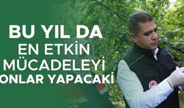 YAZ AYLARINDA DÜZCE’NİN HER YANINA SALINACAK