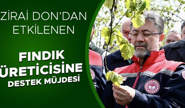 BAKAN YUMAKLI FINDIK BAHÇELERİNDE İNCELEMELERDE BULUNDU