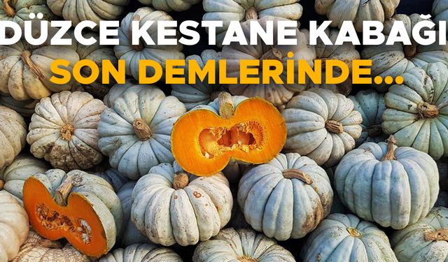 TATLISINI DENEMEDEN GEÇMEYİN!