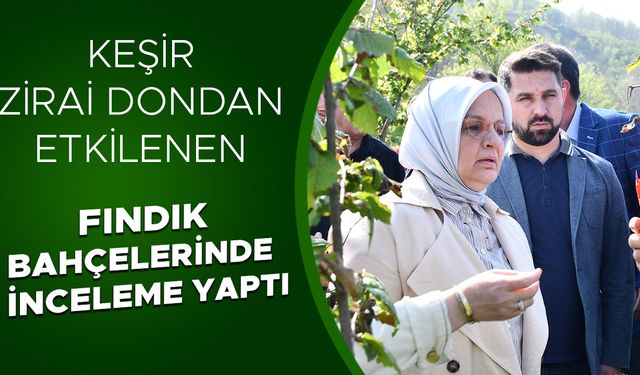 FINDIK ÜRETİCİLERİNE TARSİM UYARISI