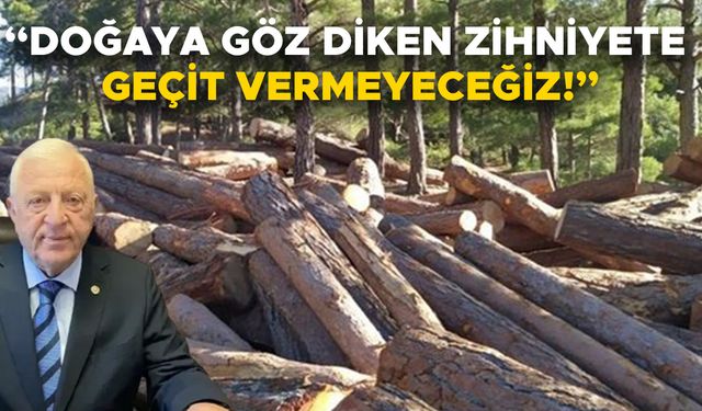 “BİR FİRMA ELİNDE ORMAN TAHRİP EDİLİYOR”