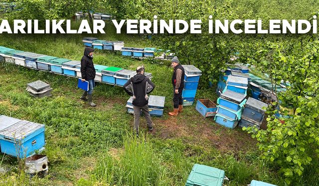 YIĞILCALI ARICILARA DESTEK SAĞLANACAK