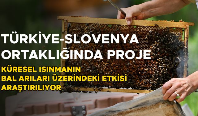 PROJEYİ DÜZCE ÜNİVERSİTESİ VE SLOVENYA MARİBOR ÜNİVERSİTESİ ORTAKLAŞA YÜRÜTÜYOR
