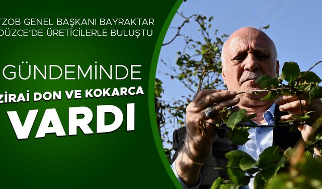 “FINDIK ÜRETİCİLERİNİN ZARARI ÇOK BÜYÜK”