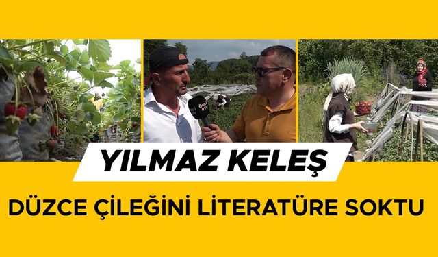 BUNLARI YEMEK İSTEYEN KENDİSİ TOPLUYOR