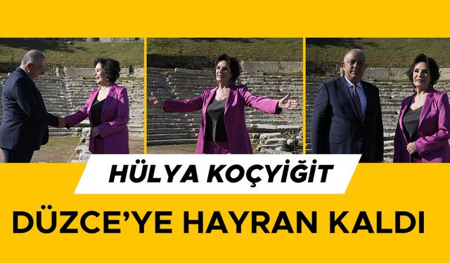 BAŞKAN BIYIK USTA SİNEMA SANATÇISINA DÜZCE’NİN TARİHİ VE DOĞAL GÜZELLİKLERİNİ TANITTI