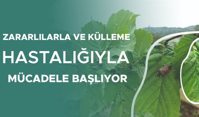 FINDIK ÜRETİCİLERİ VE ARICILAR DİKKAT!