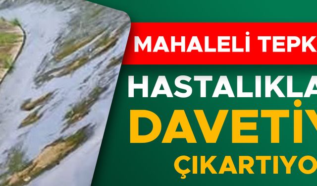 KARACA DERESİ TEMİZLENMEYİ BEKLİYOR