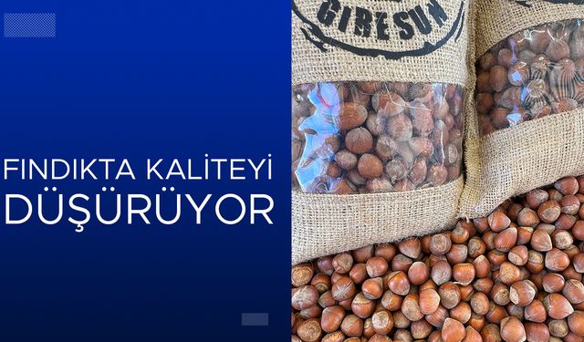 YENİ ÇALIŞMA: ZARAR YOĞUNLUĞU ARAŞTIRILIYOR
