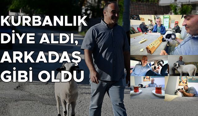 "NİYETİMİZ NEYDİ NE OLDU?”