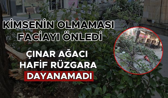 CAMİNİN YANI BAŞINDA FACİADAN DÖNÜLDÜ