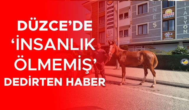 YENİ ALDIĞI ATI EVİNE BÖYLE GÖTÜRDÜ
