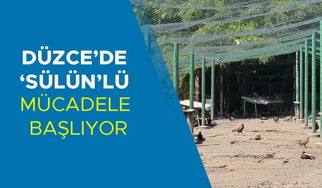 FINDIK BAHÇELERİNE YAKIN BÖLGELERE SALINACAK
