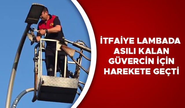AKÇAKOCA’DA YAŞANAN O ANLAR VATANDAŞ KAMERASINA YANSIDI