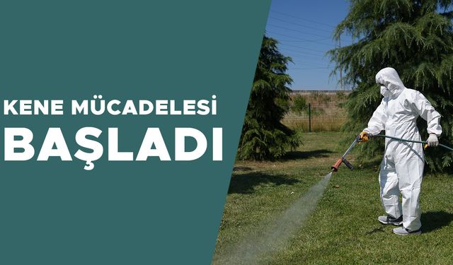 PARK, BAHÇE VE KAMUYA AÇIK ALANLAR MARKAJDA