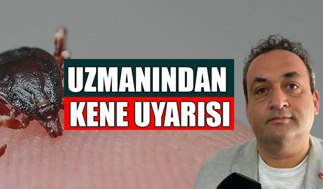 "KENELER YENİ KONAKÇI ARAYABİLİR"