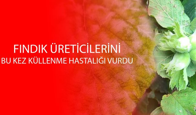BAHÇELERDE YAPILAN KONTROLLERDE YOĞUN OLARAK GÖRÜLDÜ