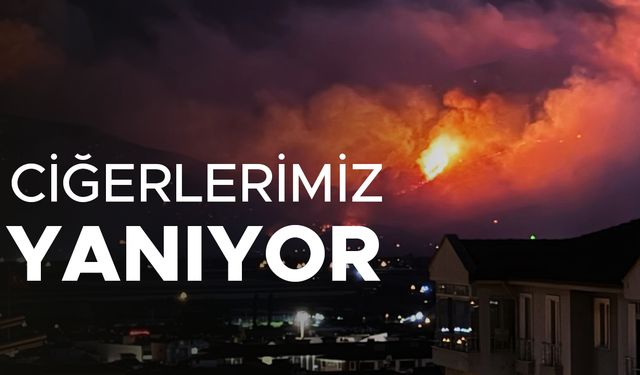 DÜZCE İTFAİYESİ DE “YEŞİL VATAN” İÇİN BÖLGEDE