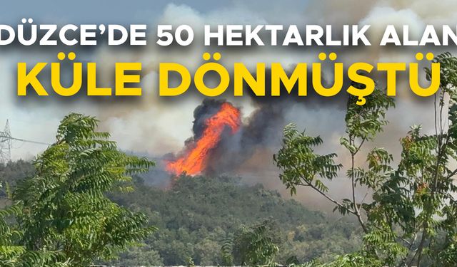 ORMAN YANGINLARINA KARŞI DEVLETİN TÜM KURUMLARI TEYAKKUZA GEÇTİ