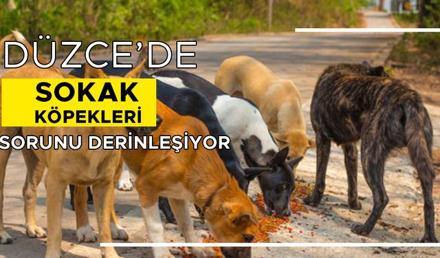 VATANDAŞ VERİLEN SÖZLERİN TUTULMASINI İSTİYOR