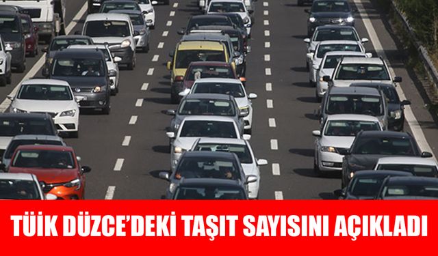 DÜZCE’DE EN FAZLA KULLANILAN ARAÇ OTOMOBİL VE MOTOSİKLET OLDU