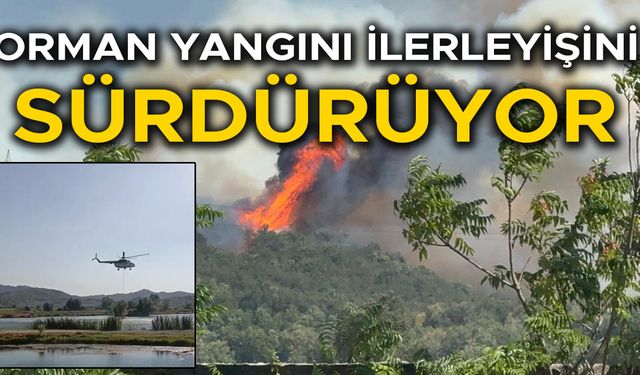 DÜZCE’NİN CİĞERLERİ ALEV ALEV YANIYOR