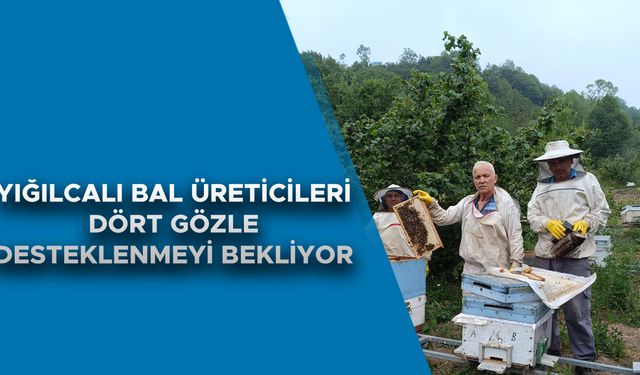 “TARIMSAL DESTEKLER BAL ÜRETİCİLERİNE DE VERİLMELİ”