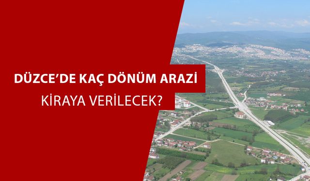 LİSTELER ASKIDAN İNİYOR