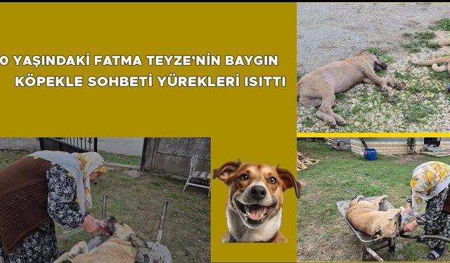 “ARKA BAHÇEMİZDEN GİRİP ALDILAR”