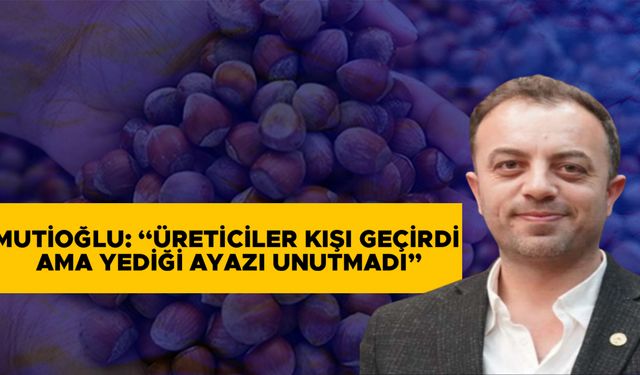 FINDIK FİYATLARI SERBEST PİYASADA YÜKSELİŞİNİ SÜRDÜRÜYOR