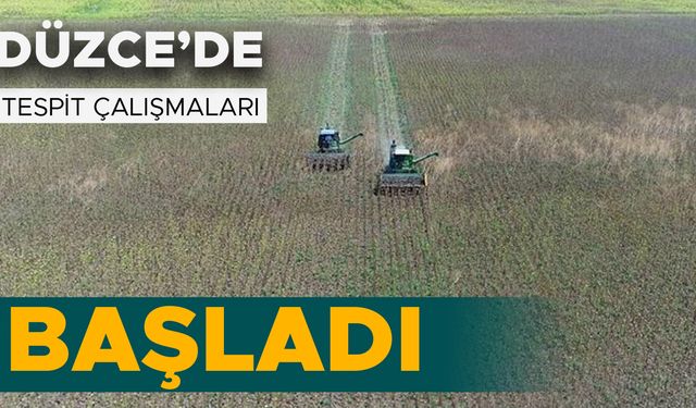 İLK KİRALAMALAR KASIMDA YAPILACAK