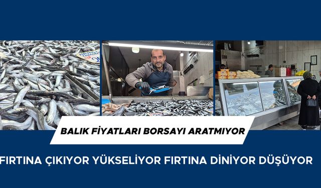 SEZON HAMSİCİLERE YARAYACAK, PALAMUTÇULARI ÜZECEK