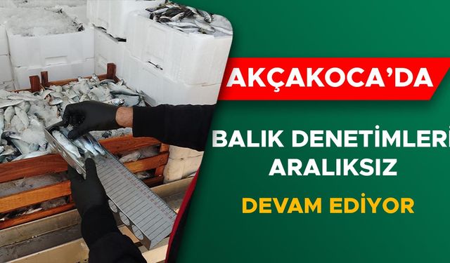YASAL BOY LİMİTLERİNİN ALTINDAKİ BALIKLARA EL KONULDU