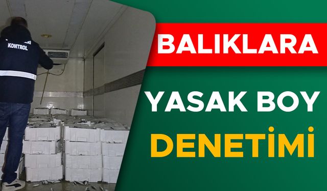 BİN 845 KİLO İSTAVRİTE EL KONULDU