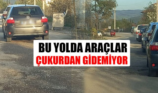 VATANDAŞLAR DEFALARCA ŞİKAYETE RAĞMEN BİR SONUÇ ALAMADI