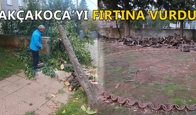 YIKILAN AĞAÇ CAMİYE YAKACAK OLDU