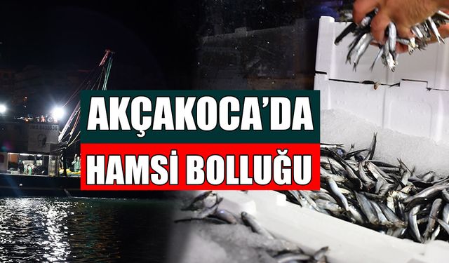 DENİZE AÇILAN BALIKÇILARIN AĞLARI HAMSİYLE DOLDU