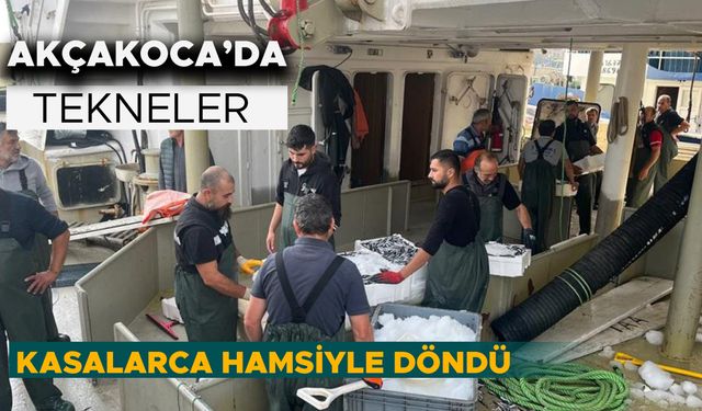 KİLOSU 100 – 150 TL’YE KADAR GERİLEDİ