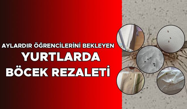 HANİ İLAÇLAMA? HANİ HİJYEN?