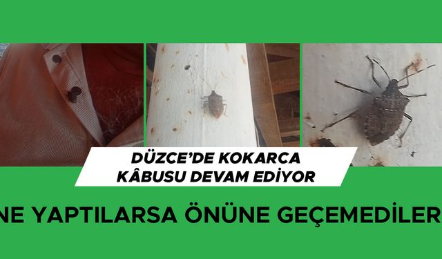 ŞİMDİ DE EVLERİ İSTİLA ETTİLER…