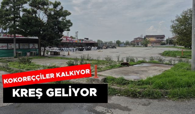8 DÖNÜM ARAZİ PARK, DEĞERLER MERKEZİ VE KREŞ OLARAK HİZMET VERECEK