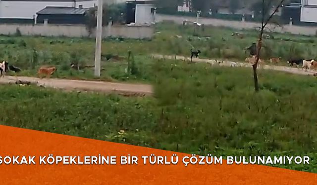 MAHALLE SAKİNLERİ TEDİRGİN