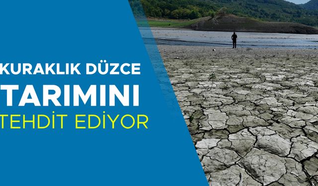 ÇÖZÜM İÇİN YOL HARİTASI ARANIYOR