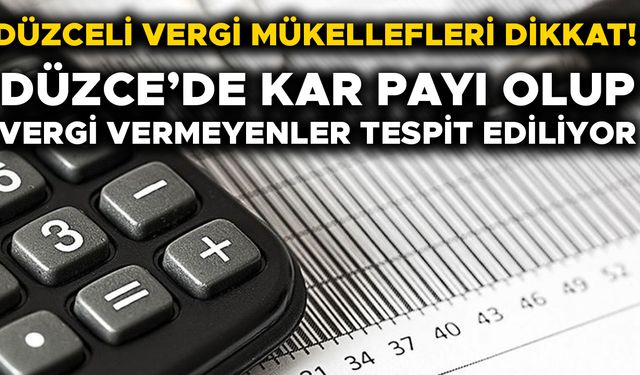 ‘CEZA ALMAMAK İÇİN VERGİ BEYANINDA BULUNUN’ UYARISI