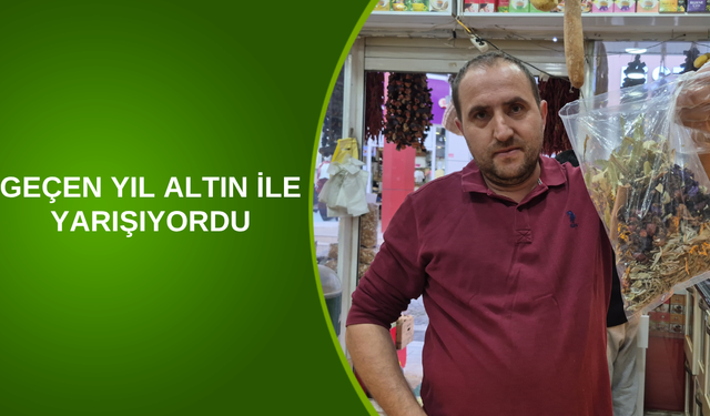GEÇEN YIL ALTIN İLE YARIŞIYORDU
