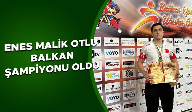 WUSHU’DA ALTIN MADALYA KAZANDI