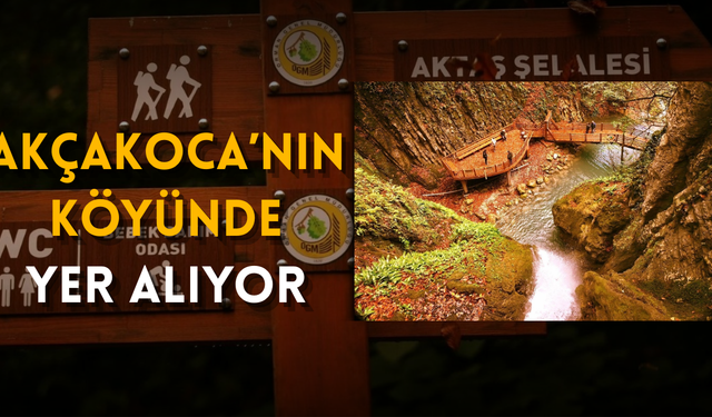 AKTAŞ ŞELALESİNİN DOĞAL GÜZELLİĞİ PAYLAŞILDI